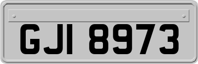 GJI8973