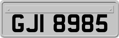 GJI8985