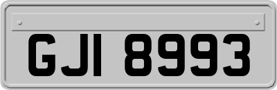 GJI8993