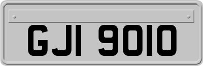 GJI9010