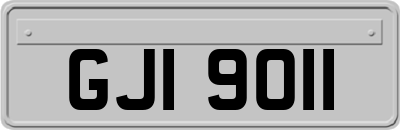 GJI9011