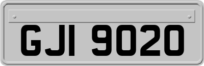 GJI9020