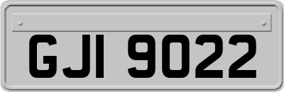 GJI9022