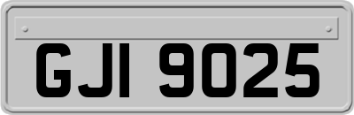 GJI9025