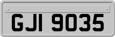 GJI9035