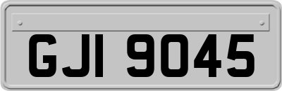 GJI9045