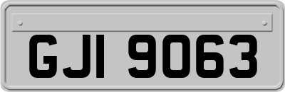 GJI9063