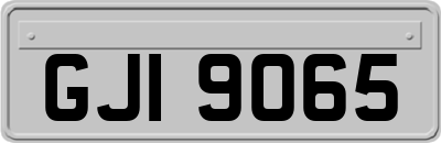 GJI9065