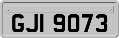 GJI9073