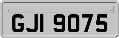 GJI9075