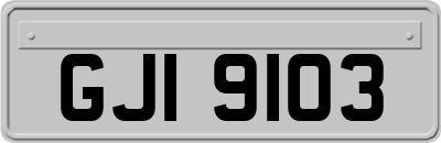 GJI9103