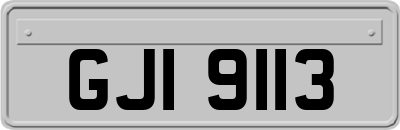 GJI9113