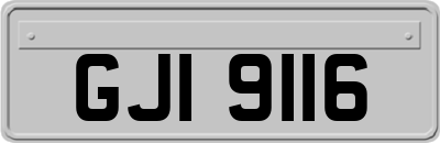 GJI9116