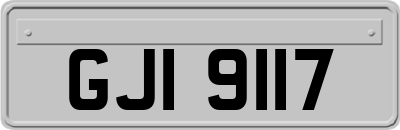 GJI9117