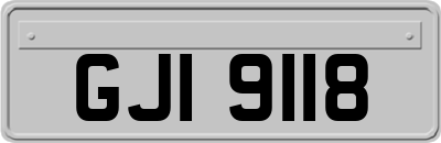 GJI9118