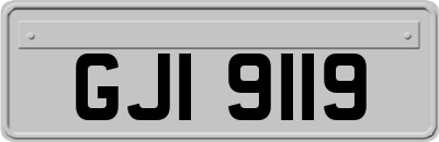 GJI9119