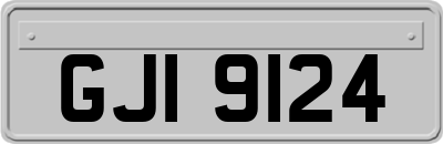 GJI9124