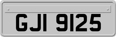 GJI9125