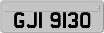 GJI9130