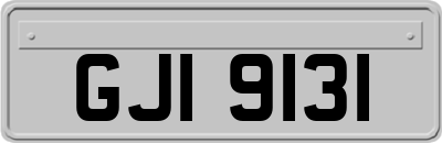 GJI9131