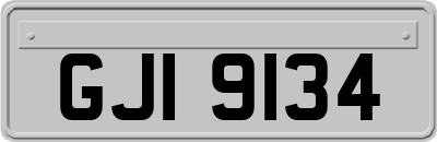 GJI9134