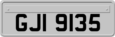 GJI9135
