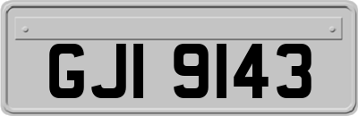 GJI9143