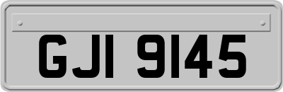 GJI9145