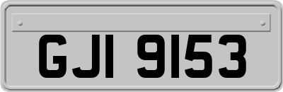 GJI9153