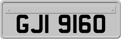 GJI9160