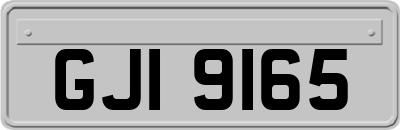 GJI9165
