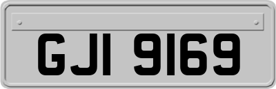GJI9169