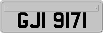 GJI9171