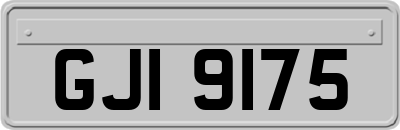 GJI9175