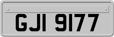 GJI9177