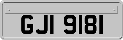 GJI9181