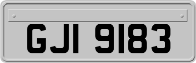 GJI9183