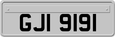 GJI9191