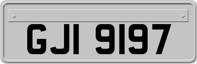 GJI9197