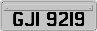 GJI9219