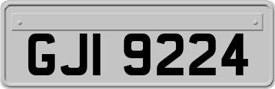GJI9224