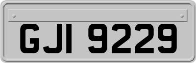 GJI9229