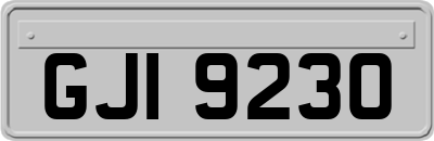GJI9230