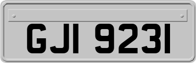 GJI9231