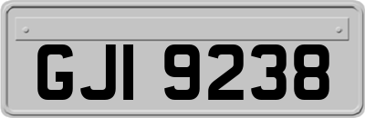 GJI9238