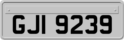 GJI9239