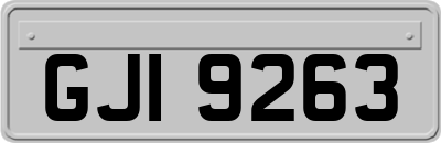 GJI9263