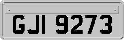 GJI9273