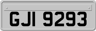 GJI9293