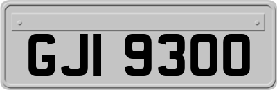 GJI9300